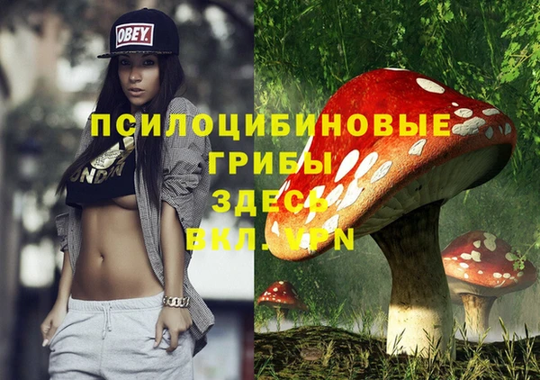 мяу мяу мука Богданович
