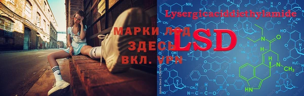 мяу мяу мука Богданович