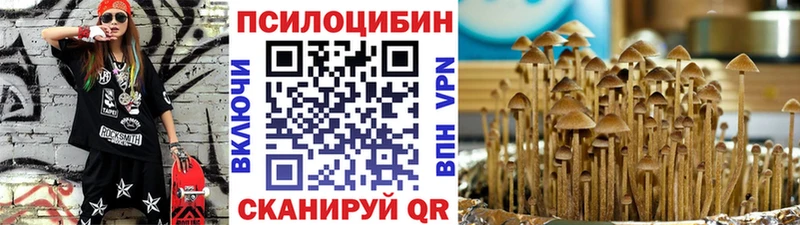 Галлюциногенные грибы мухоморы  где найти   МЕГА как войти  Тверь 